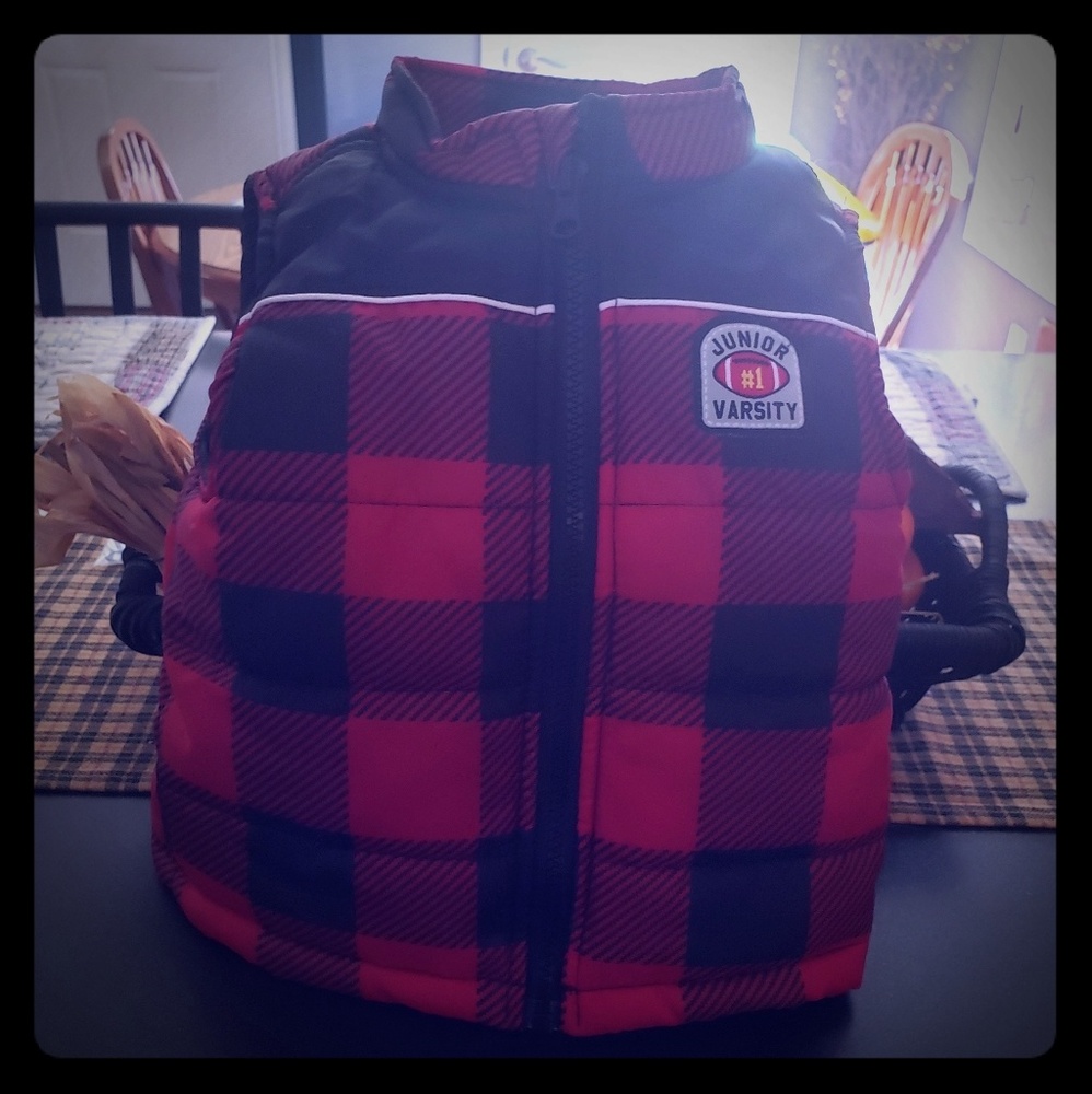 Vest